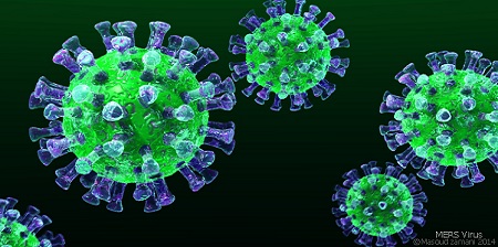 nanoparticelle che distruggono i virus