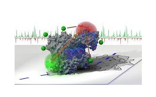Scuola sullo studio delle proteine con spettroscopia