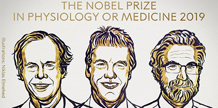 Nobel medicina