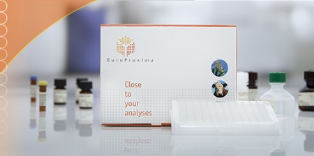 test ELISA