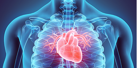 Un pacemaker temporaneo riassorbibile dall’organismo