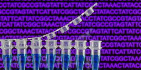 Replicazione del DNA via droplet digital PCR