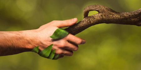 #FARMACISTAGREEN premia le iniziative di sostenibilità ambientale