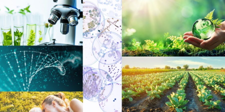 BioInItaly Report 2022: Le imprese di biotecnologia in Italia