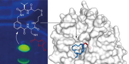 Nuove molecole farmaceutiche dalla chimica in piccole gocce