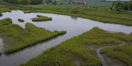 Laguna di Venezia: ripristinato l'habitat naturale