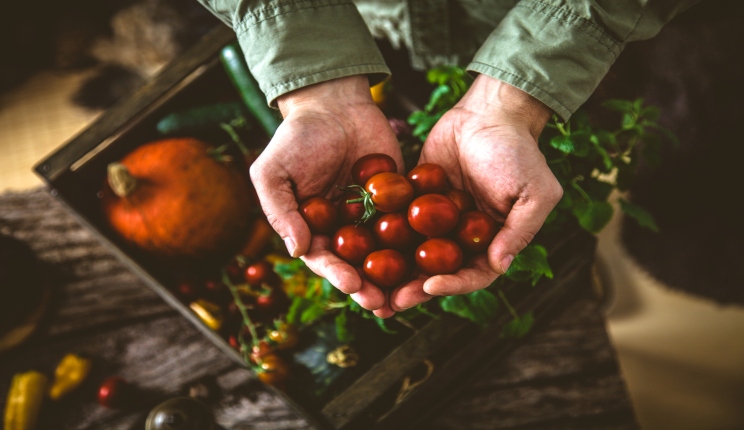 stop pesticidi nel piatto