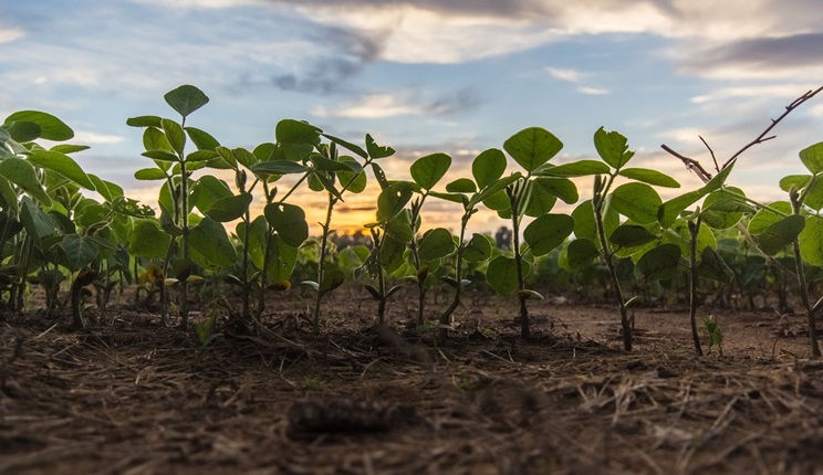 agroecologia CREA - Agroecology Partnership