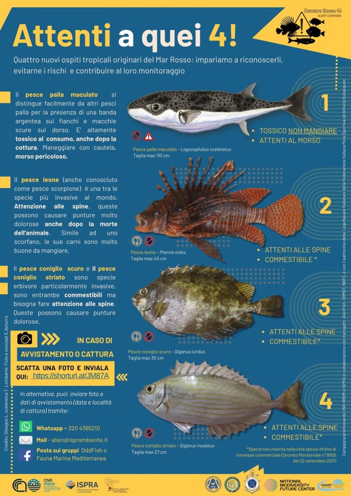 ispra attenti a quei4