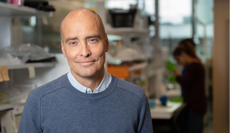 neurogenesi jonas frisen