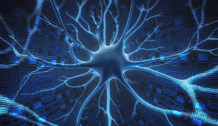 microbiota intestinale
