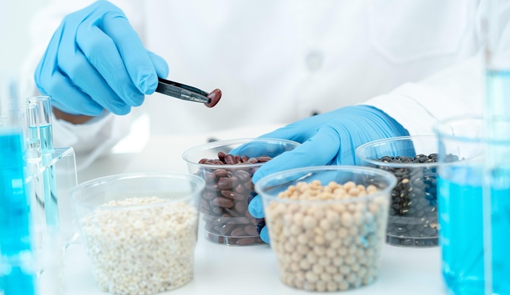 Metodi analitici rapidi