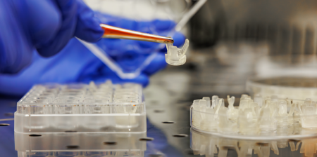 rigenerare la cartilagine admaiora