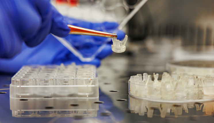 rigenerare la cartilagine admaiora