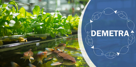 progetto Enea Demetra