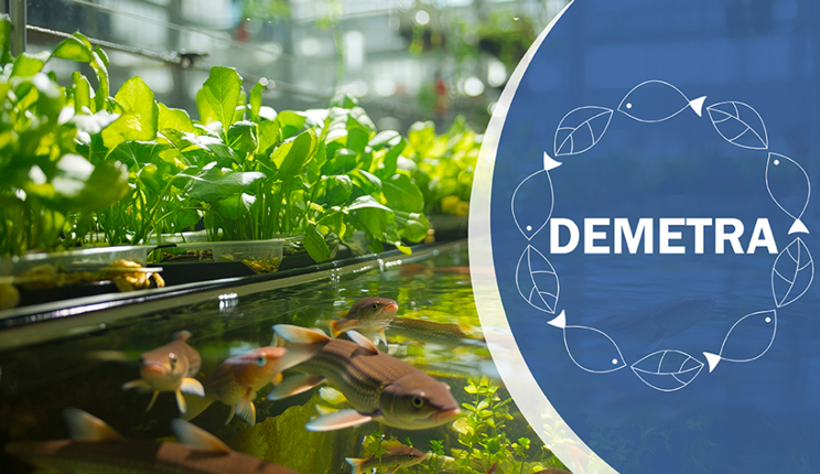 progetto Enea Demetra