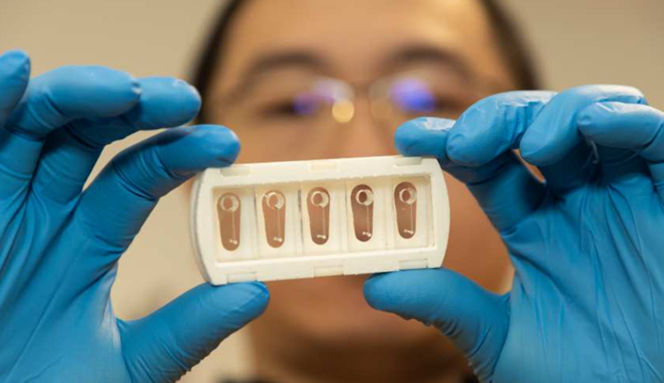 arteria su chip sydney university