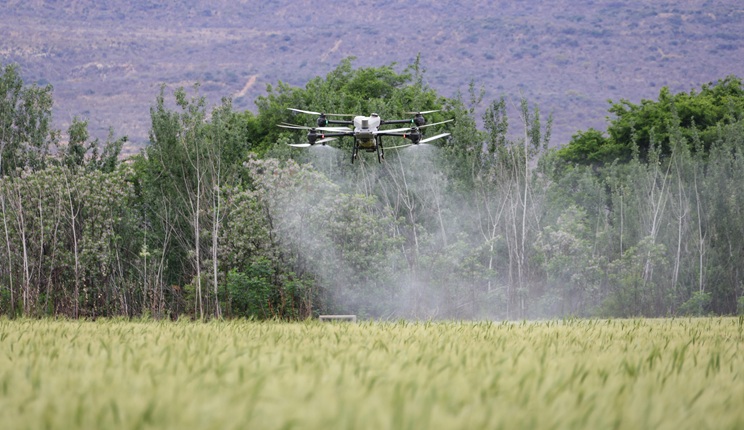 sostanze chimiche influenzano i batteri intestinali