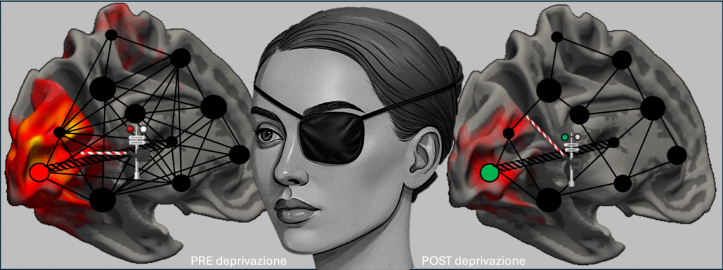 pulvinar università pisa