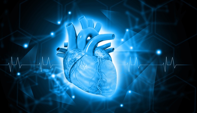 rigenerare il cuore umano università di sydney