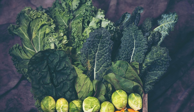 Verdure crucifere, alleate essenziali dell’immunoterapia