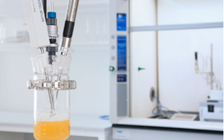 bioprocess optimization