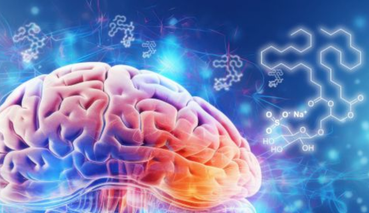 Una piccola molecola smart rafforza le difese naturali del cervello contro l’Alzheimer