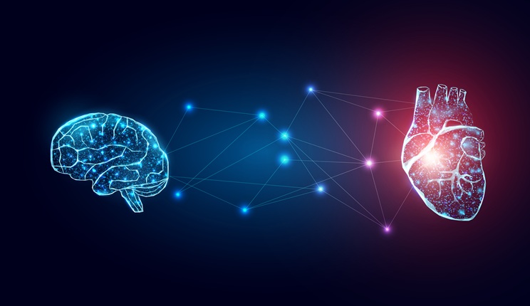 reti perineuronali irccs neuromed