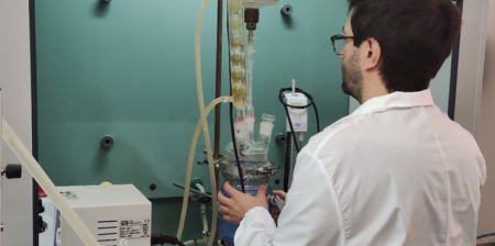 schiume poliuretaniche biobased