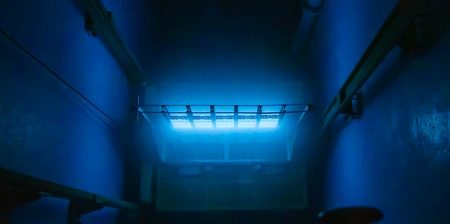 irraggiamento gamma grano