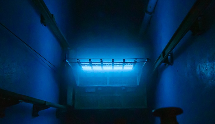 Agroalimentare: ENEA testa con successo i raggi gamma per migliorare la sicurezza e la conservazione del grano