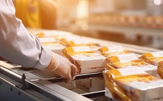 Metal Detector, Raggi-X o entrambi