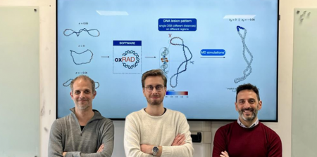 resistenza strutturale del dna