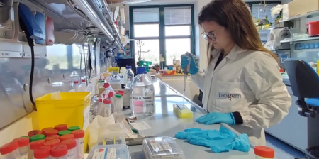 leucemia mieloide acuta