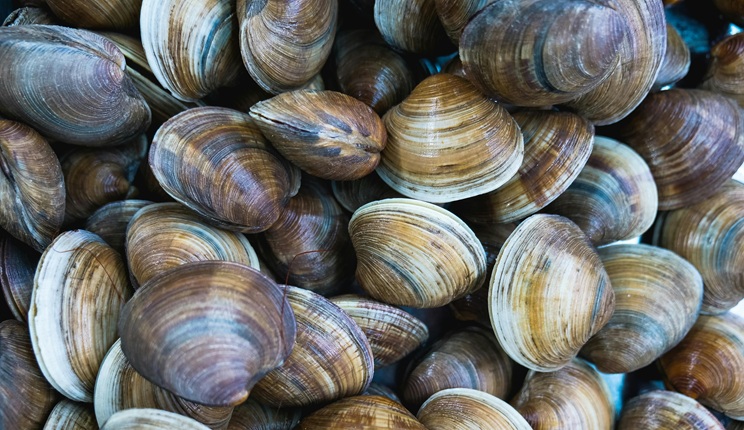 Nel 2025 in calo i casi di epatite B e C, forte crescita per la A: guida alla sicurezza alimentare