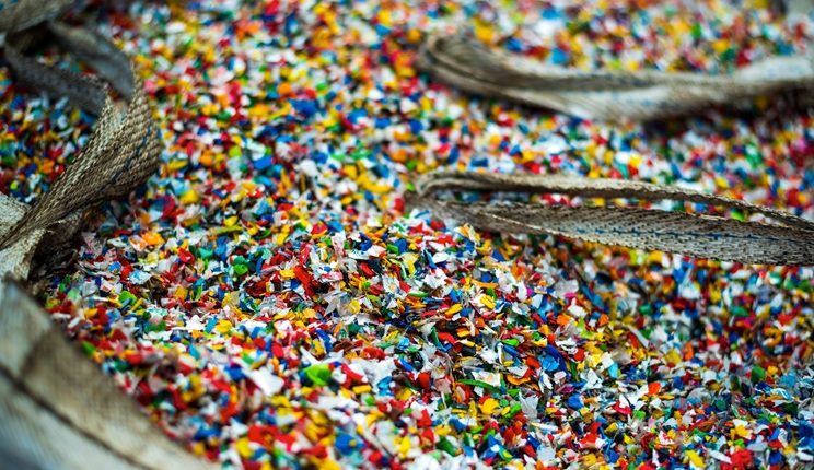 Dai freni agli pneumatici: i licheni per tracciare la dispersione di microplastiche e metalli tossici in città