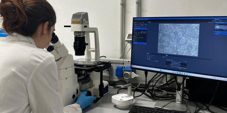 software ignite padova