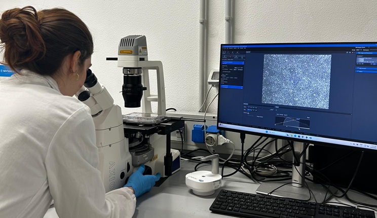 L’intelligenza artificiale che svela i segreti delle cellule staminali, la ricerca dell’Università di Padova