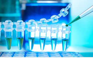 Migliora la riproducibilità della tua PCR