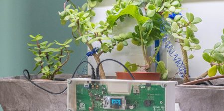 PlantBit