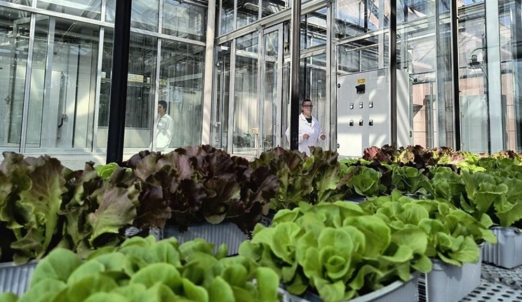 Pheno Lab e Pheno Space: all’Università di Udine nasce una delle più complete piattaforme di ricerca italiane per studiare il futuro delle piante
