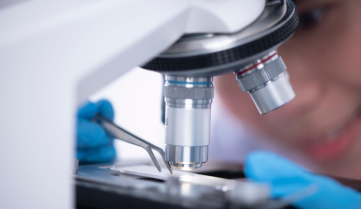 Genomica, microbioma e metabolismo dei composti fenolici possono prevedere la risposta individuale ai farmaci?