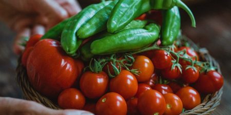 MedFoodNet