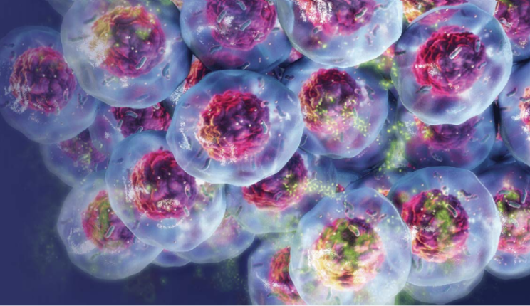 Monitoraggio della biologia cellulare in colture 3D: strumenti e saggi innovativi di Promega
