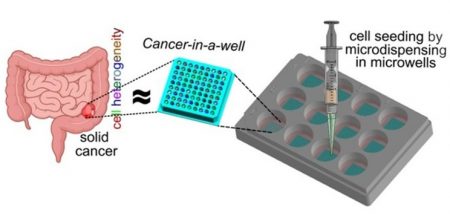 biostampa e microfabbricazione