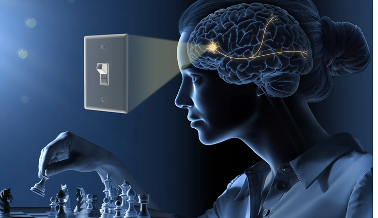 Dallo studio di un’alga unicellulare al controllo con la luce dell’attività dei neuroni