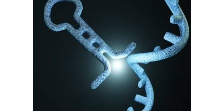 miRNA-Seq