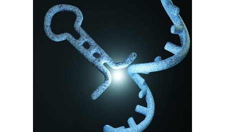 miRNA-Seq