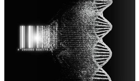 Metabarcoding
